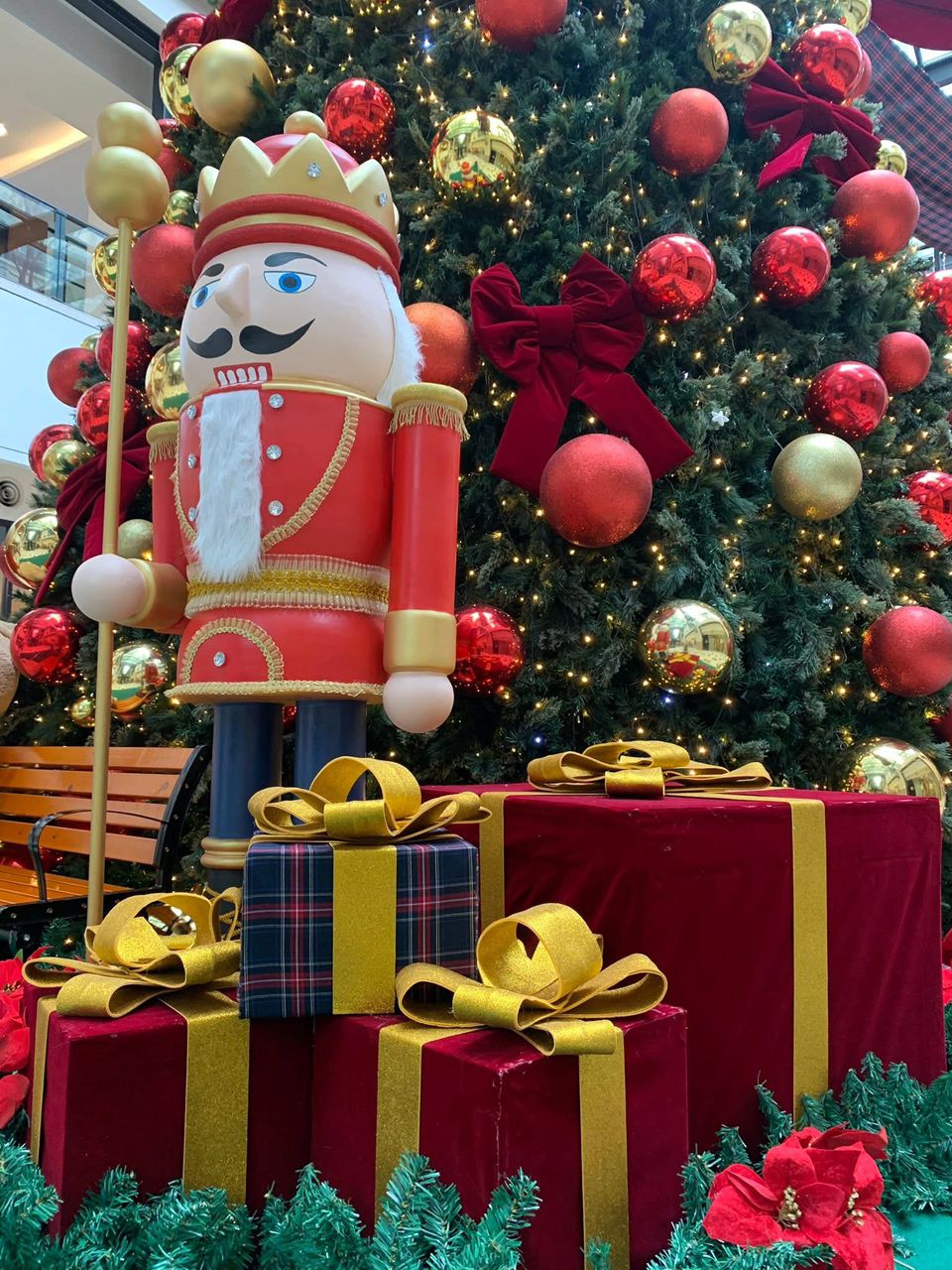 WhatsApp Image 2025-12-21 at 9.05.55 PM (3)